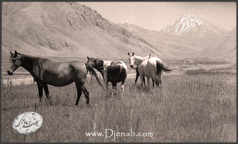 تصویری قدیمی از کوه دماوند در دوران پهلوی اول